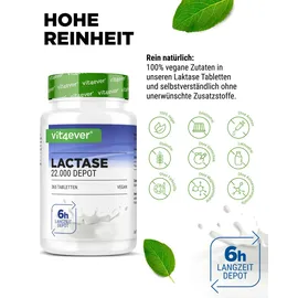 Vit4ever Laktase Depot 22.000 Tabletten 365 St.