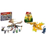 LEGO NINJAGO Egalt der Meisterdrache & NINJAGO Arins Drachengleiter