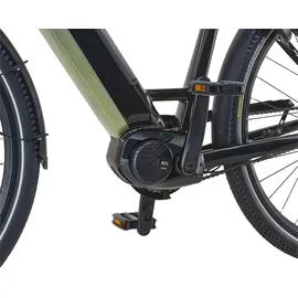 Prophete Geniesser 5.0 28 Zoll RH 48 cm Schwarz-Silbergrün