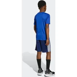 adidas Kinder Sportanzug Train Essentials, ROYBLU/WHITE, 176