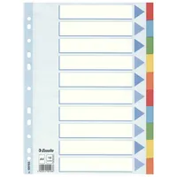 Esselte Register Karton