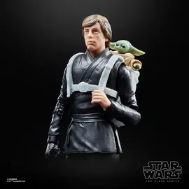 Hasbro Star Wars: The Black Series Luke Skywalker Grogu