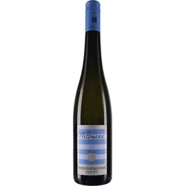 Weingut Wittmann 2023 Weißer Burgunder trocken