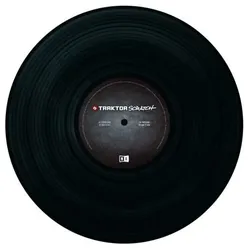 Native Instruments Traktor Scratch Control Vinyl MKII - Schwarz - DJ-Zubehör