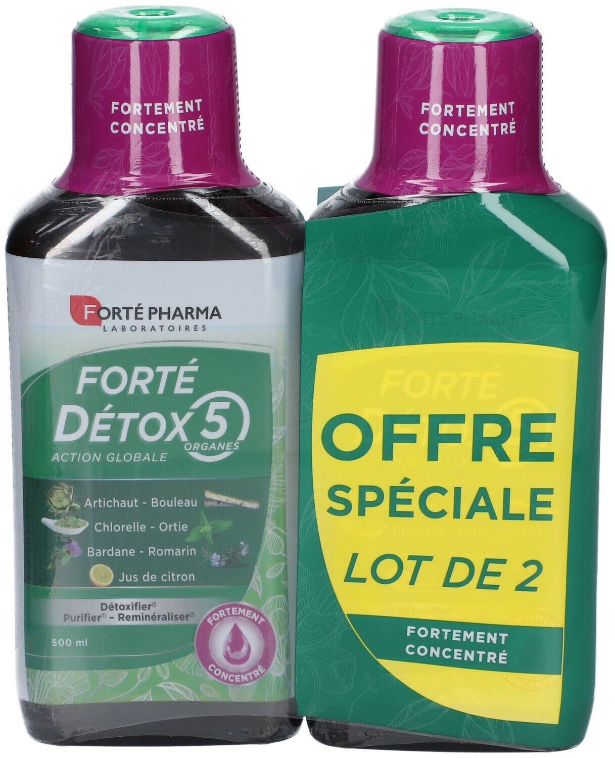 Forté Pharma FORTÉ DÉTOX 5 ORGANES 2x500 ml jus
