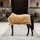 Kentucky Horsewear Turnierdecke - Senfgelb, 130