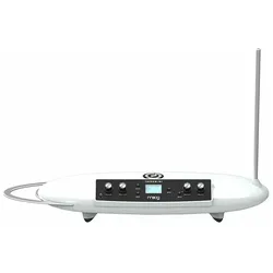 Moog Theremini - Synthesizer