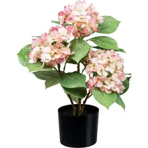 Creativ green Kunstpflanze Hortensienbusch Hortensie, Creativ green, Höhe 53 cm, mit traumhaft schönen Blüten rosa