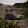 adidas Terrex Anylander Mid RAIN.RDY Herren Cardboard/Core Black/Shadow Olive 46 2/3