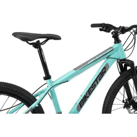 Bikestar Mountainbike 26 Zoll RH 38 cm Damen grün/türkis