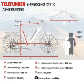 Telefunken Trekking E-Bike Elektrofahrrad 28 Zoll 8-Gang Kettenschaltung Heckmotor 250W 417,6Wh Akku Pedelec XT490 Herren
