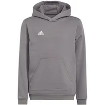 adidas Entrada Grey 176