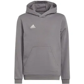 adidas Entrada Grey 176