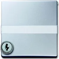 Busch-Jaeger Zwischenring m. Klappdecke 2118 GKSLN/11-33