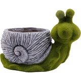TrendLine Deko Pflanztopf Schnecke 36,5 x 23,5 x 26 cm