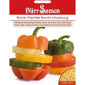 Dürr Samen Blockpaprika Bunte Mischung Blockpaprikasamen