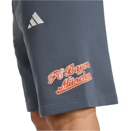 adidas FC Bayern München Shorts 2025/26 grau Herren Gr. M