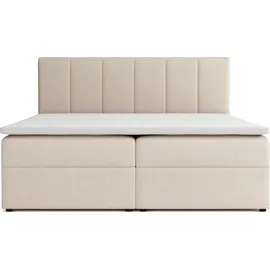 venasi Lisa Boxspringbett mit Bettkästen H2/H3 Matratze BEIGE - Beige