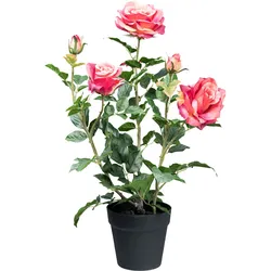 Kunstblume CREATIV GREEN "Rosenbusch", pink, H:58cm, Kunstpflanzen, mit 3 Blüten und 2 Knospen