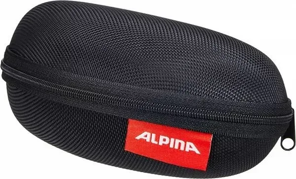 Alpina Case Brillenetui - large Schwarz Modell 2024