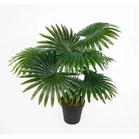 Seidenblumen Roß Fächerpalme Real Touch 40/50cm im Topf ZJ