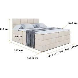 altdecor Boxspringbett mit Matratze, Topper, Polsterbett mit, Bettkasten ARDENI KING | Beige Casablanca | 140x200
