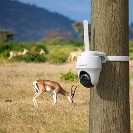 Reolink Go Series G440 Weiß