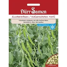 Dürr-Samen - Zuckererbsen Norli Saatgut