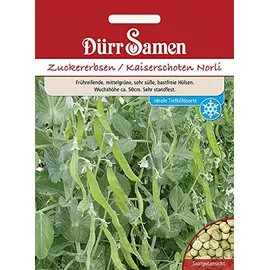 Dürr-Samen - Zuckererbsen Norli Saatgut