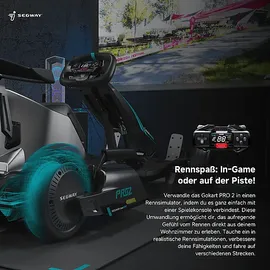 Segway NINEBOT GoKart PRO 2 by Segway E-Board (3 Zoll, Grau)