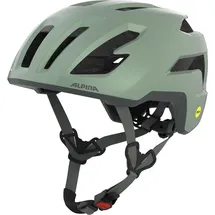 Alpina Taunus Gravel MIPS 55-59 cm Herren willow-green matt 2021