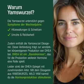 Vitactiv Yamswurzel Wild Yam Kapseln 120 St.