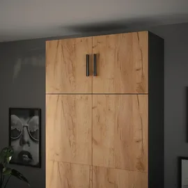 Vicco Ingo Aktenschrank 80 x 40 x 40 cm Anthrazit/Goldkraft Eiche