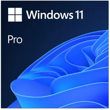 Microsoft Windows 11 Pro ESD DE