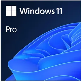 Microsoft Windows 11 Pro ESD DE