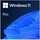 Microsoft Windows 11 Pro ESD DE