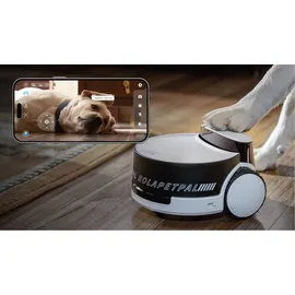 ENABOT ROLA PetPal Interaktiver Haustierbegleiter