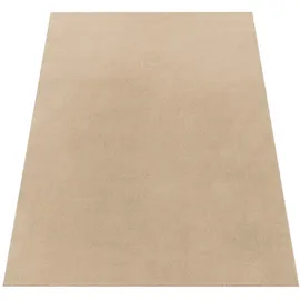 Paco Home Cadiz 630 Kurzflorteppich 240 x 340 cm dunkelbeige