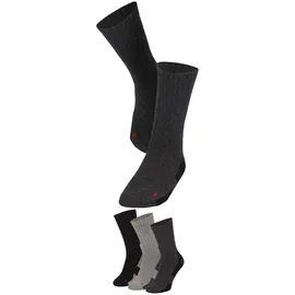 Apollo Basicsocken 3er Pack Grau/Mehrfarbig 47-48