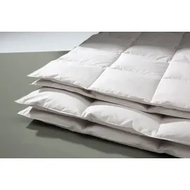 Centa-Star Golf von Alaska 135 x 200 cm Baumwolle Braun Sahara
