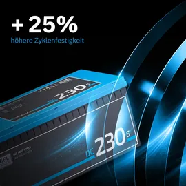 Ective DC 230S 12V 230Ah Deep Cycle Versorgungsbatterie mit LCD-Anzeige 230Ah
