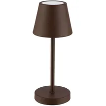 APS MERLE MICRO Braun