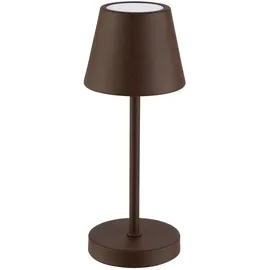 APS MERLE MICRO Braun