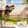 eloneo aufblasbares Zelt 4-6 Personen Beige