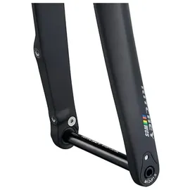 RITCHEY WCS Carbon Disc 28 Zoll 46 mm Schwarz