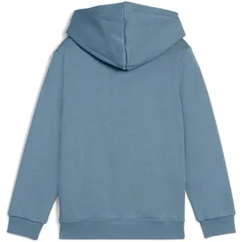 Puma Hoodie Coolblue 116