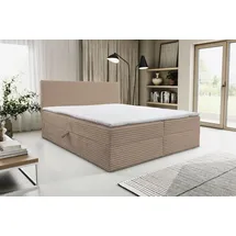 venasi TILLY Boxspringbett 160x200 mit 2 Bettkästen H2/H3 Matratze BRAUN CORD TILIA - Braun
