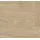Parador Trendtime 3 Parkett Eiche Bardolino Weiß weiß matt lackiert Fischgrät 570x95x13 mm