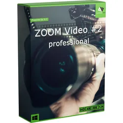 ZOOM Video #2 professional