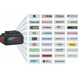 Bosch Professional Starterset 18 V Li-Ion 6 x 4,0 Ah 1600A02A2S